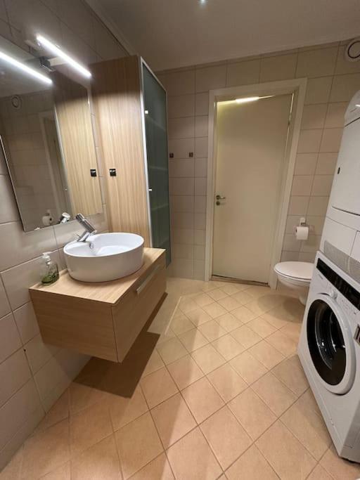 Fin Leilighet I Rolig Omrade I Trondheim Daire Hoiset Dış mekan fotoğraf